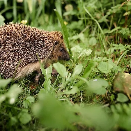 منزل للإقامة Le Couvent *