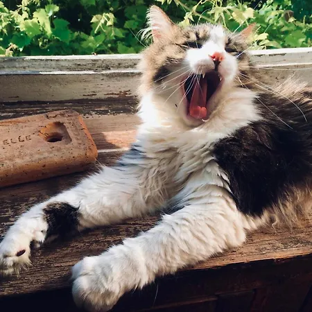 Le Couvent Kwatera prywatna